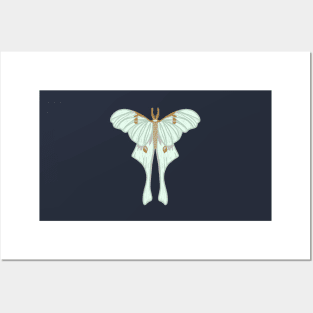 Hand drawn Luna moth Posters and Art